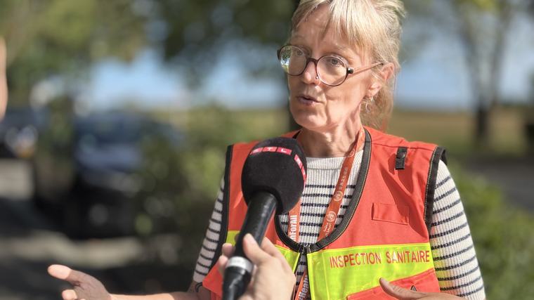 Am Quartier nogewisen: Inspection sanitaire kläert zu Bouneweg iwwert d'Tigermustik op
